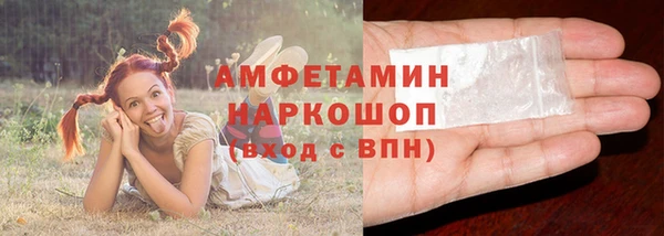 mix Инта