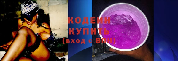 mix Инта