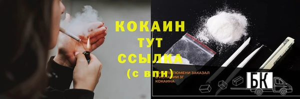 mix Инта