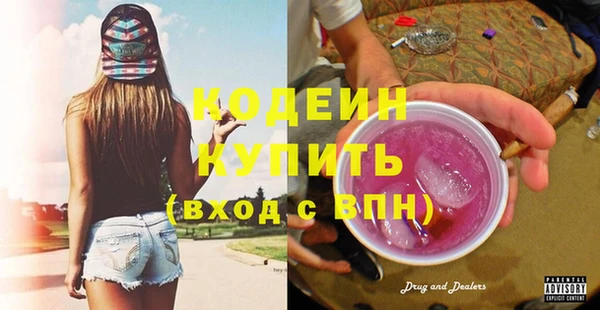 mix Инта