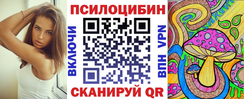 купить   Мостовской  Галлюциногенные грибы Psilocybine cubensis 